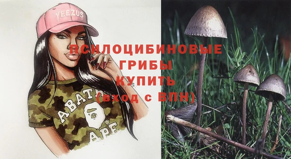 марки lsd Богородицк