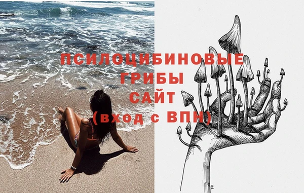марки lsd Богородицк