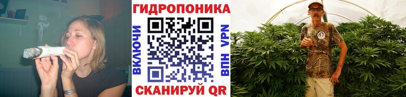 МАРИХУАНА Bruce Banner  купить наркоту  Шали 